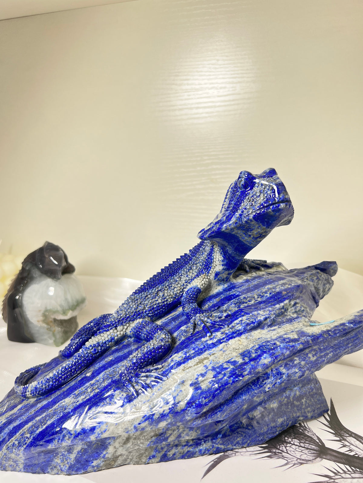 Personal Collection Lapis Lizard