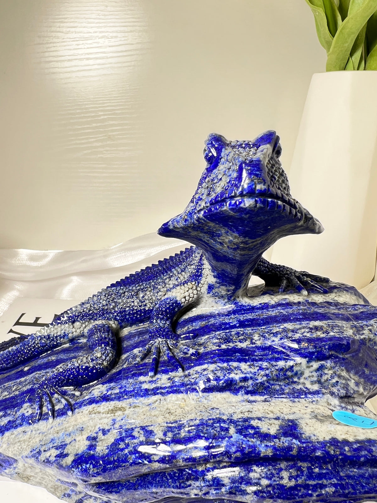 Personal Collection Lapis Lizard
