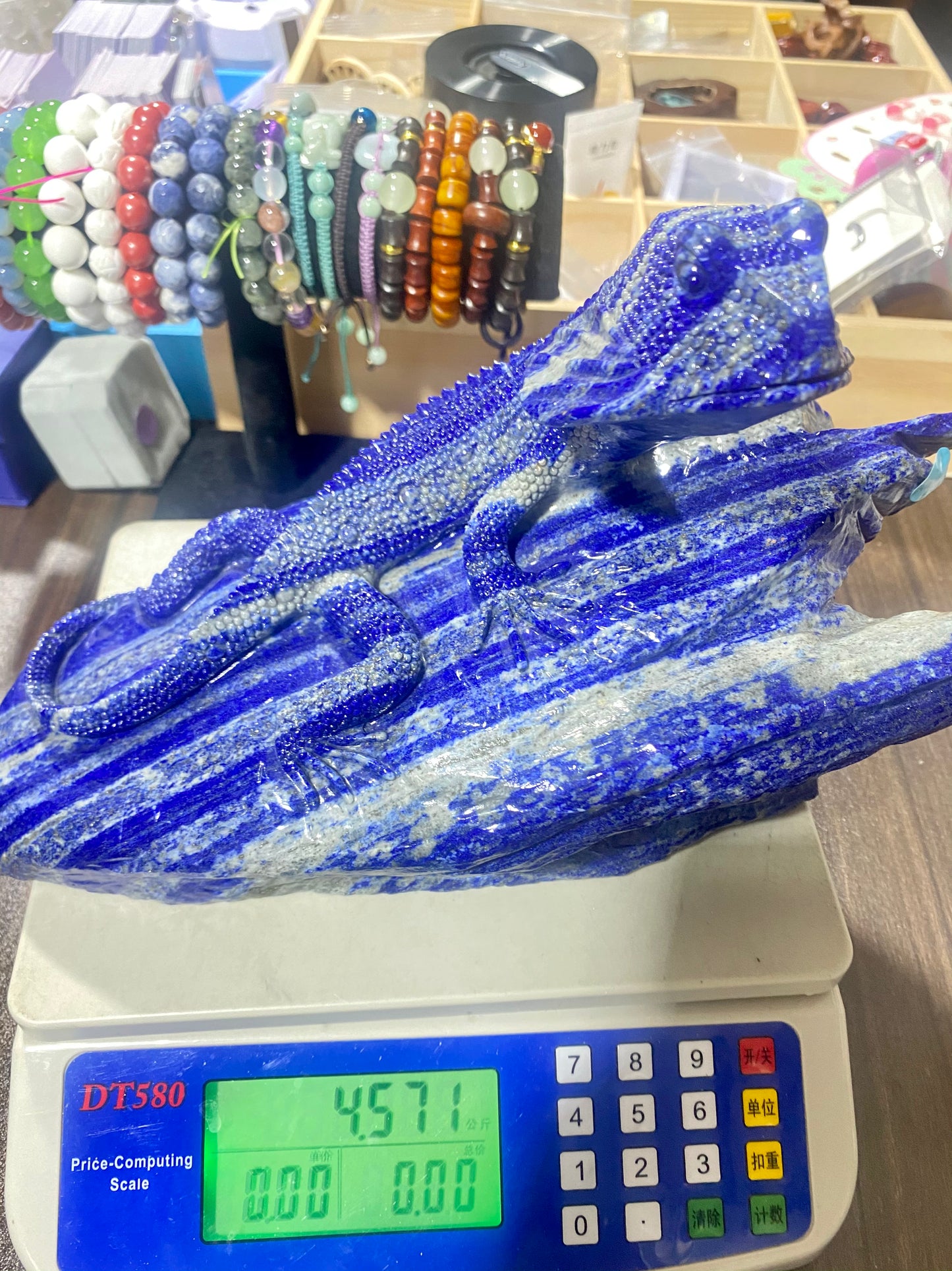 Personal Collection Lapis Lizard